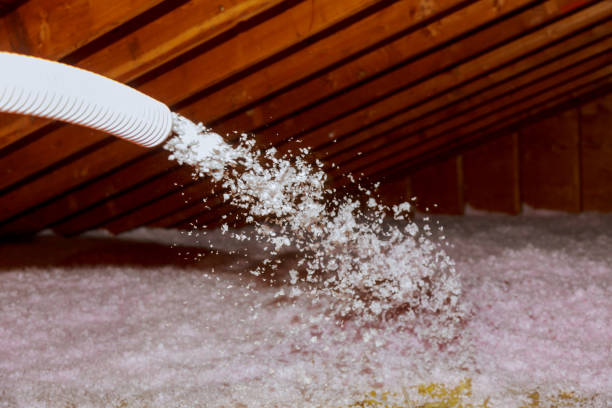 Types of Insulation We Offer in Monroe, WA