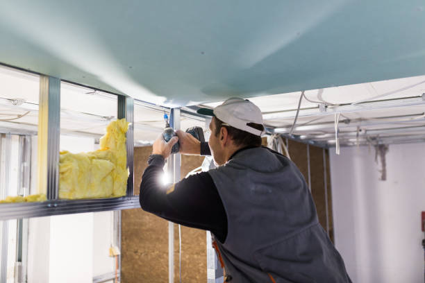 Best Eco-Friendly or Green Insulation Solutions  in Monroe, WA