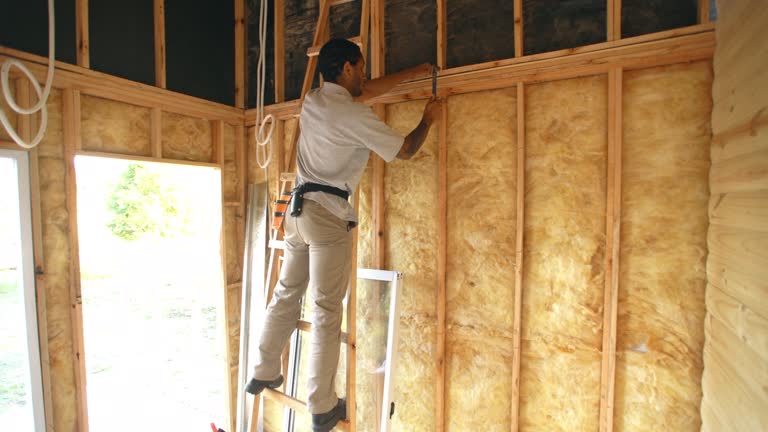 Best Radiant Barrier Insulation  in Monroe, WA