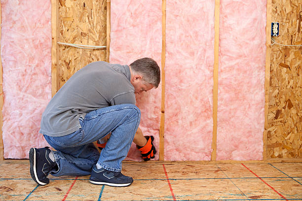 Best Spray Foam Insulation  in Monroe, WA