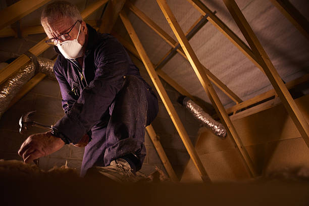 Best Attic Insulation Installation  in Monroe, WA